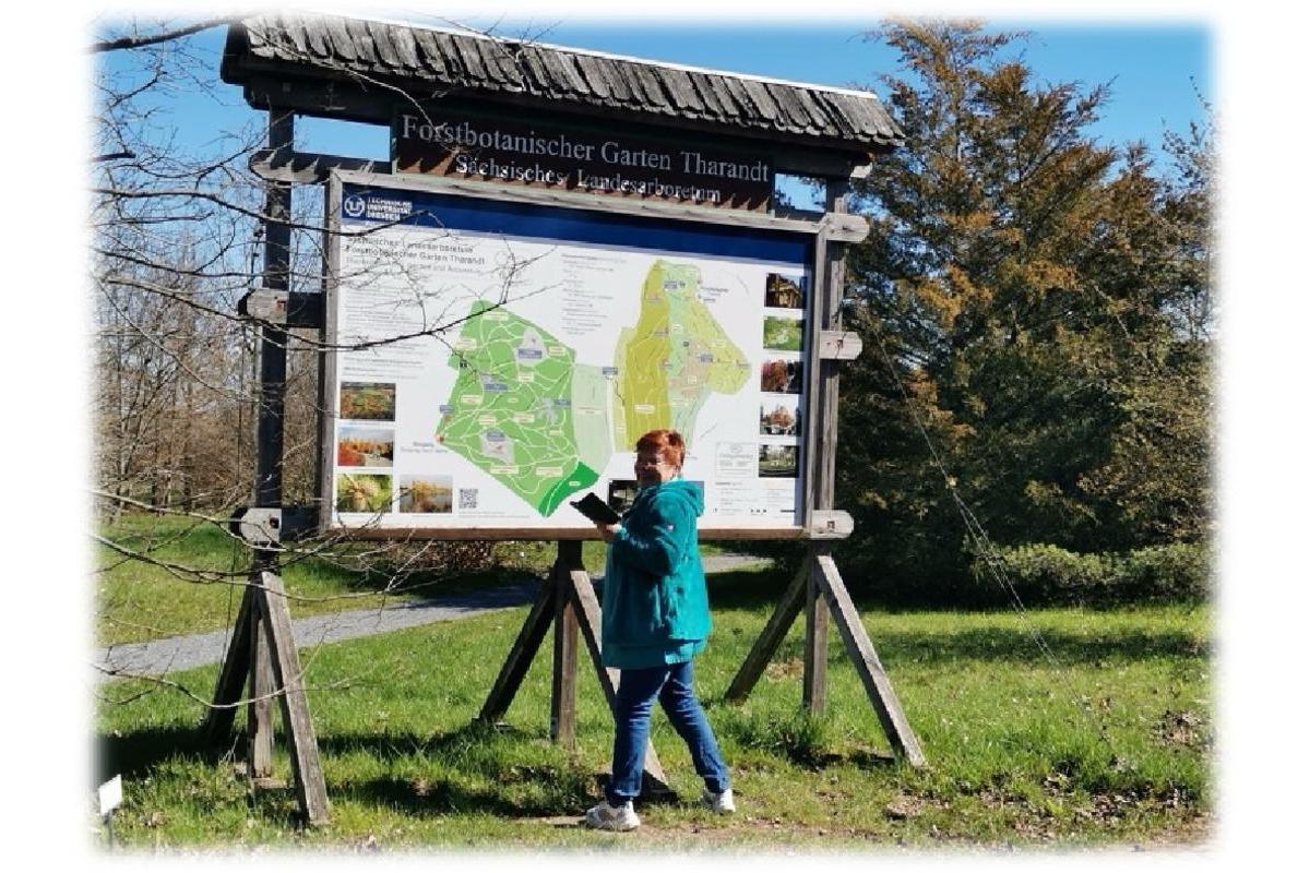 Frühlingserwachen im Forstbotanischen Garten Tharandt